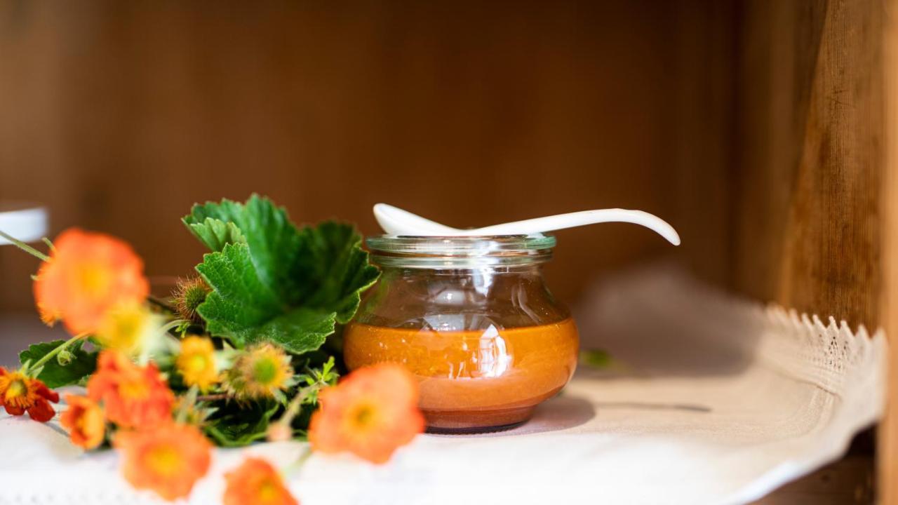 Natura Boutique Chalet Wellness Spa Dobbiaco Esterno foto