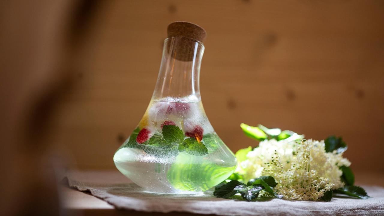 Natura Boutique Chalet Wellness Spa Dobbiaco Esterno foto